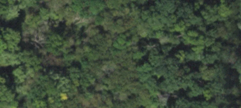 30955 Ctr Rd