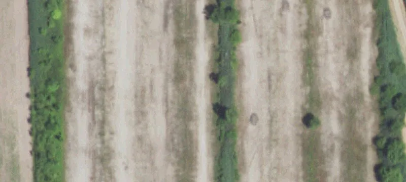 Gillespie, IL 62033