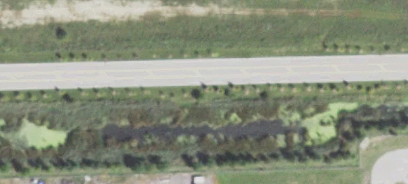 Youngs Rd