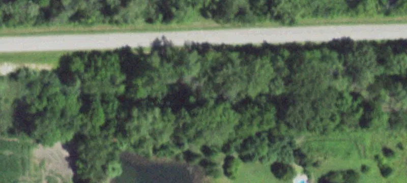 Whitetie Rd