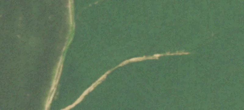 Golden Eagle, IL 62036