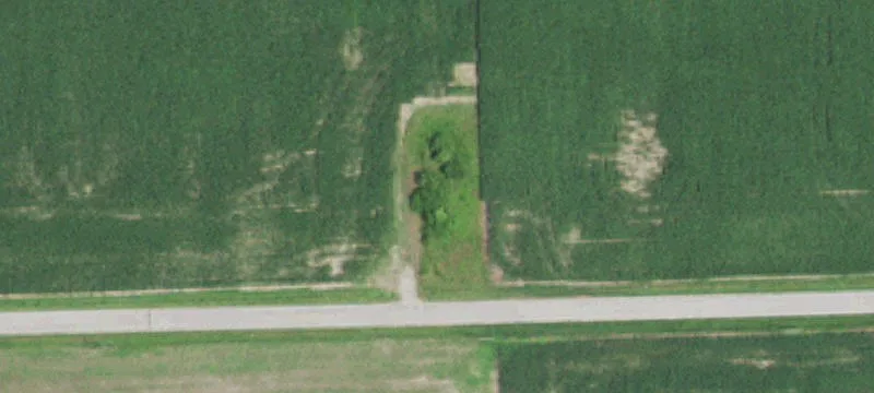 Wolf Rd