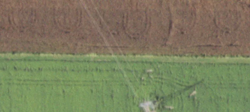 Nebo, IL 62355