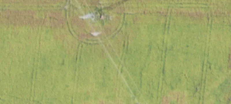Nebo, IL 62355