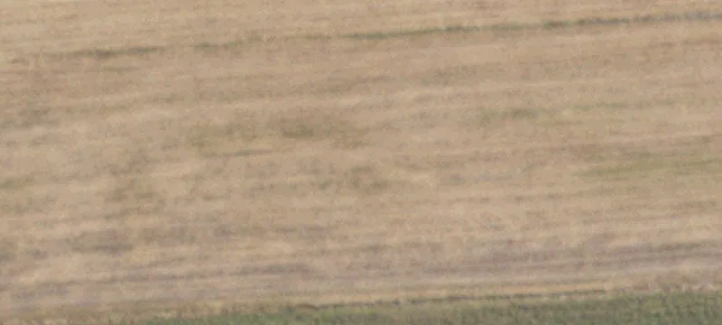 Golden Eagle, IL 62036