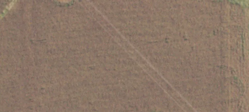 Golden Eagle, IL 62036