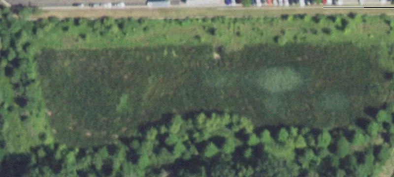 Internationale Pkwy