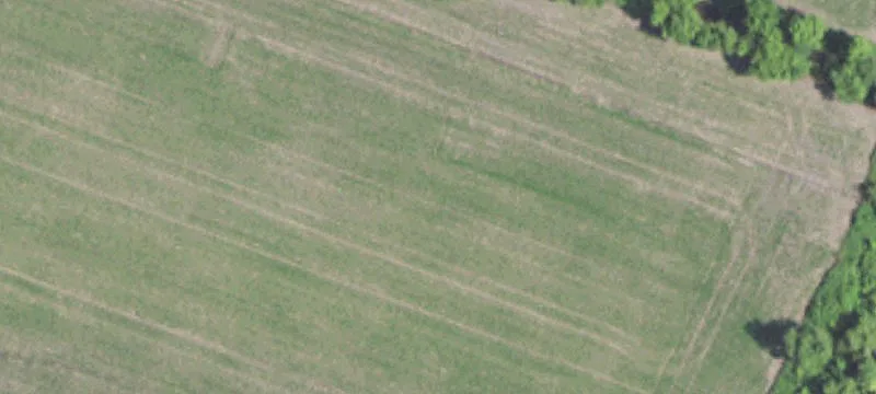 Dupo, IL 62239