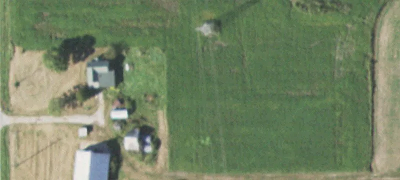 Golden Eagle, IL 62036