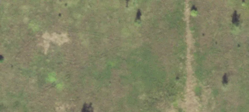 Dekalb, IL 60115