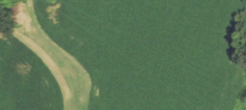 Golden Eagle, IL 62036
