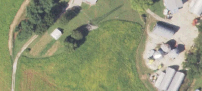 Golden Eagle, IL 62036