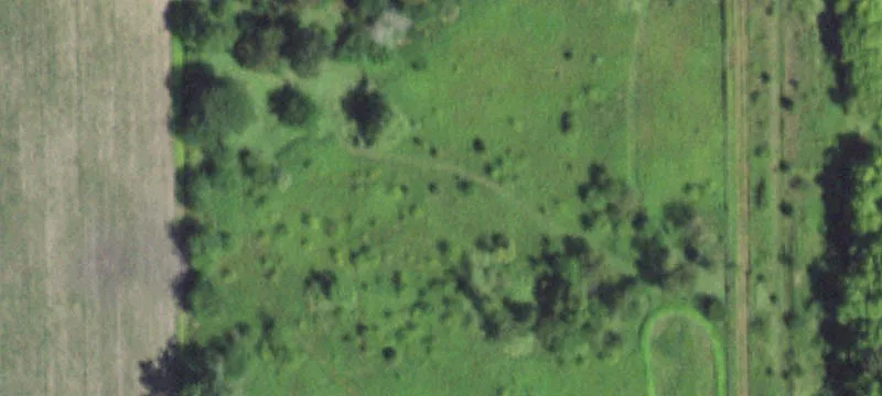 Morris, IL 60450