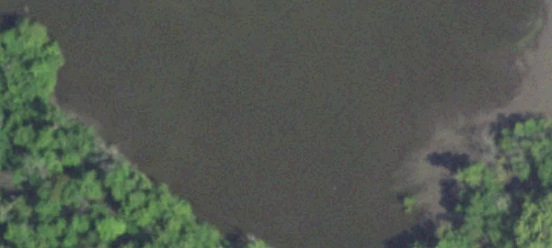 Lowpoint, IL 61545