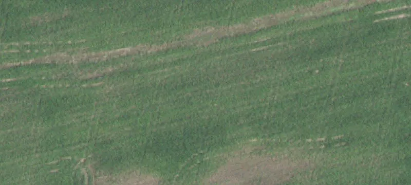 Dupo, IL 62239
