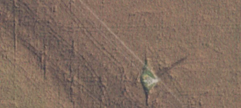 Golden Eagle, IL 62036