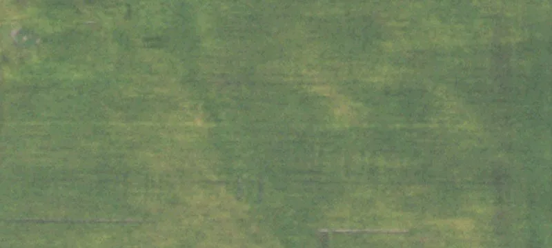 Dekalb, IL 60115