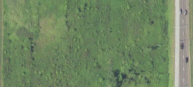 Eagle Nest Dr