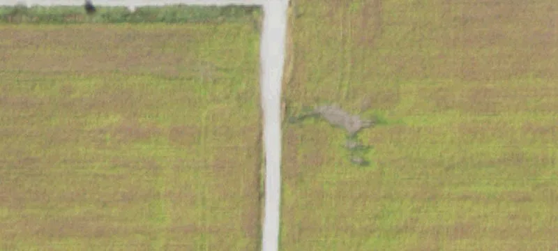 Ellsworth, IL 61737