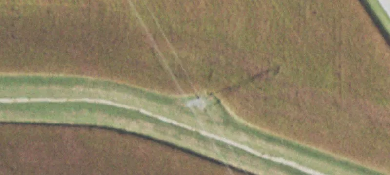Nebo, IL 62355