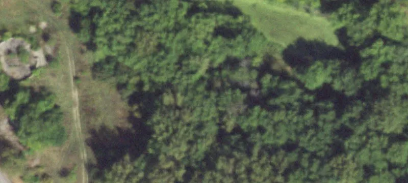 Saybrook, IL 61770