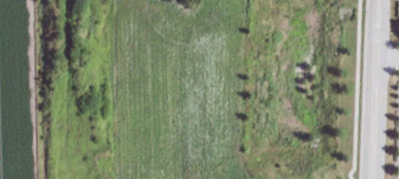 Plano, IL 60545
