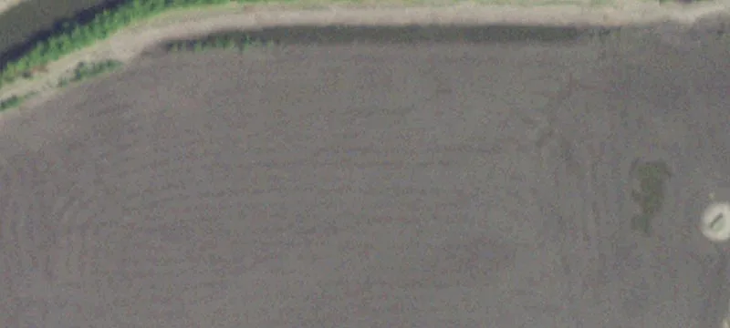 Lowpoint, IL 61545