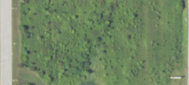 Eagle Nest Dr