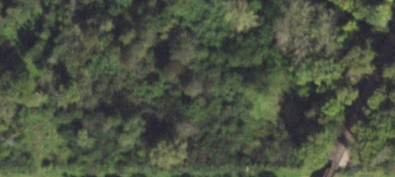 Shabbona Grv Rd