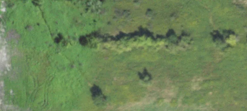 Morris, IL 60450