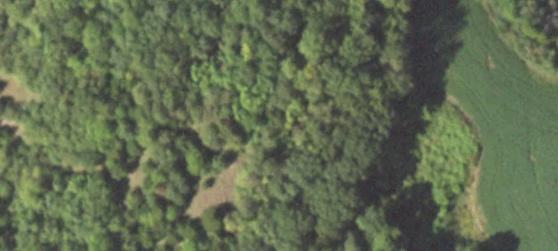 51 Rr 1