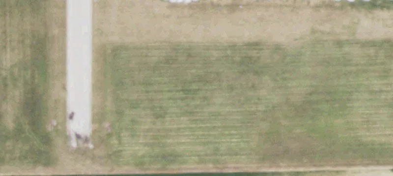 Williamsville, IL 62693