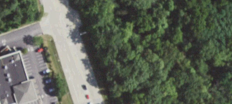 Wolf Rd