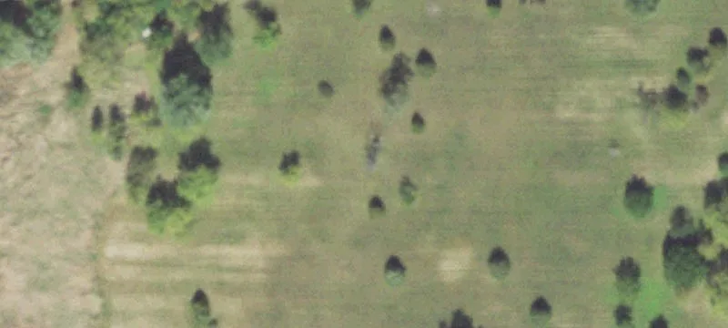 Dekalb, IL 60115