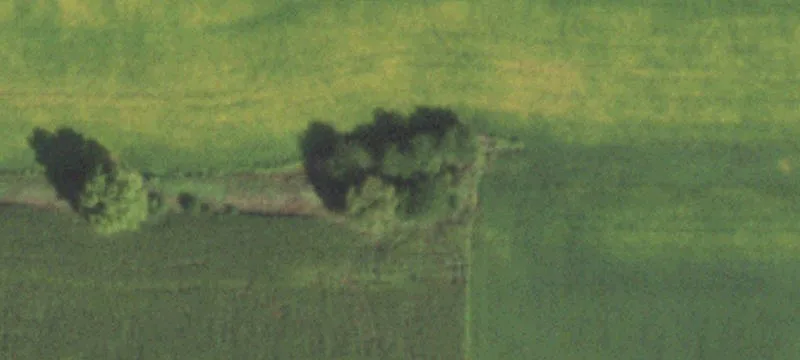Fisher, IL 61843