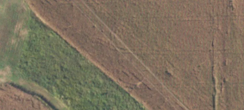 Golden Eagle, IL 62036