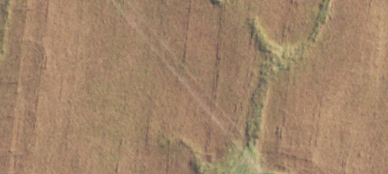 Batchtown, IL 62006