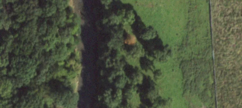 Grand Ridge, IL 61325