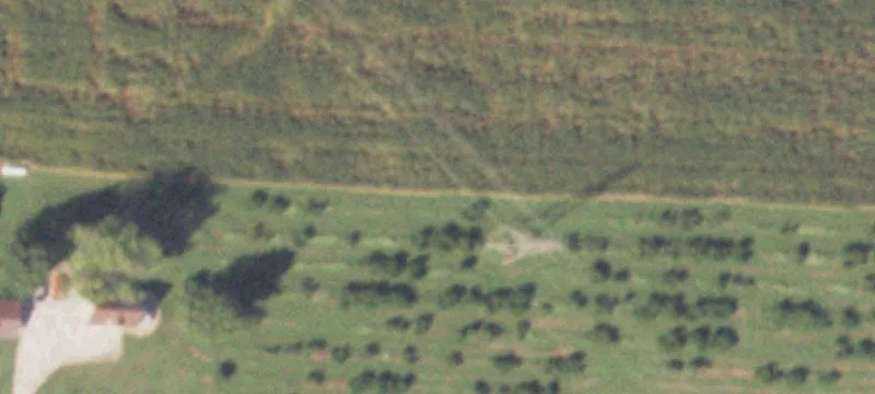 Golden Eagle, IL 62036