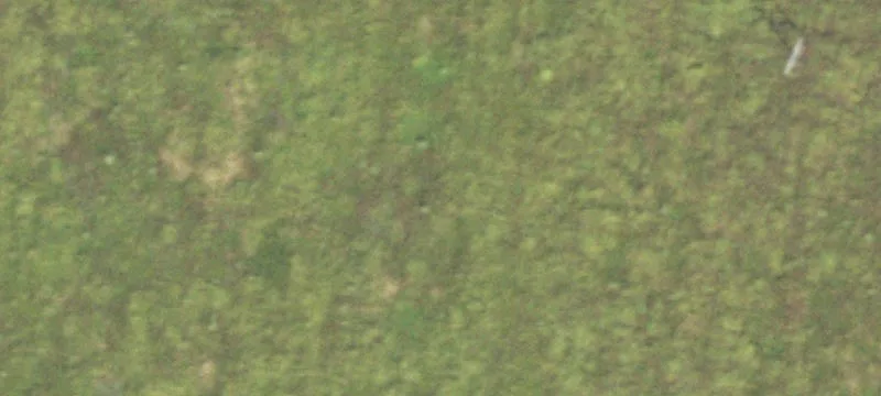 Grand Tower, IL 62942