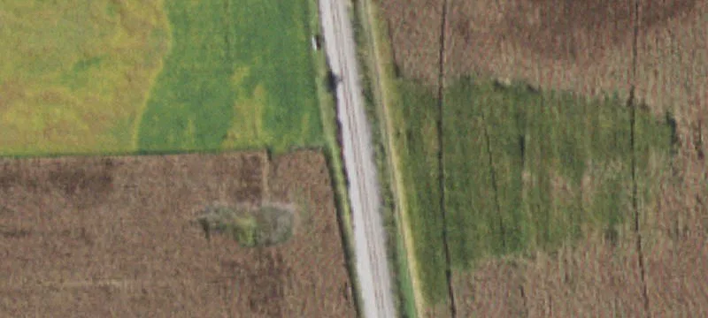 Woodrow Rd Ofc Of