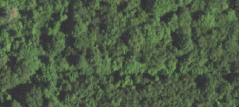 Oakwood, IL 61858