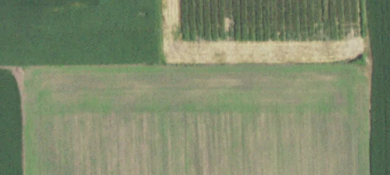 Rossville, IL 60963