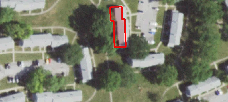 11 Fir St