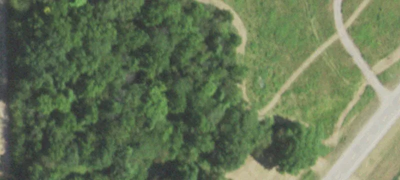 Oakwood, IL 61858