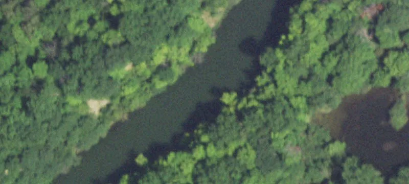 Oakwood, IL 61858