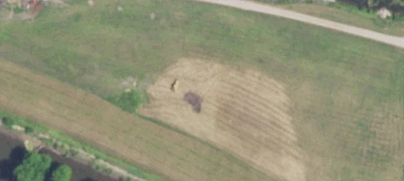 Levee Rd