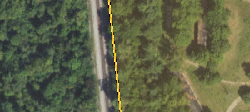 Carbondale, IL 62901