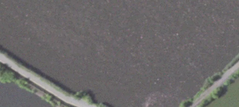 Layton Rd