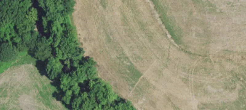 Stein Rd